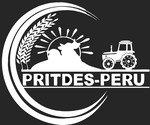 PRITDES PERÚ